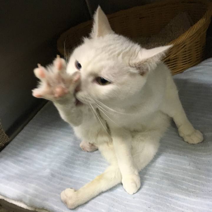 9a2034d7 09c0 4c0f ad8c ea0df08f5675 1522230068022