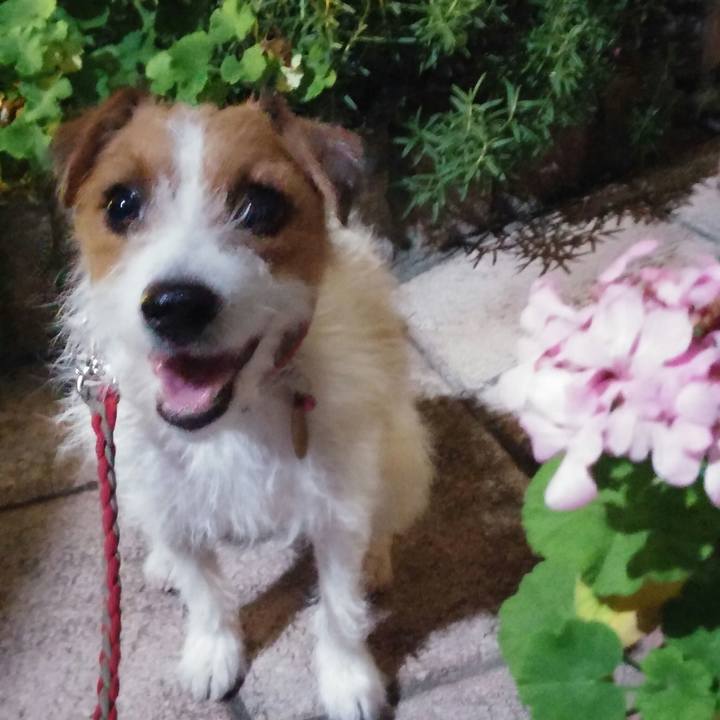 9a205693 5e70 42b2 b876 5c3e8b814530 1536830980733