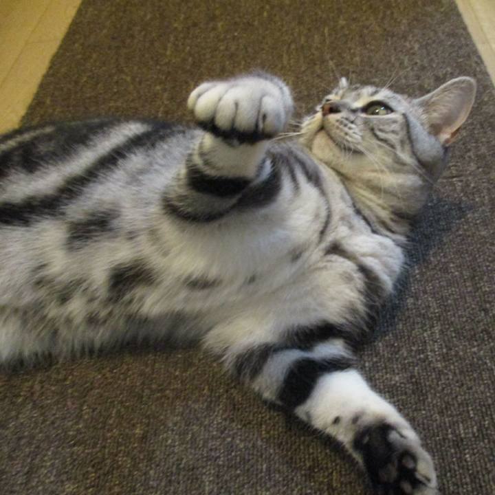 9a206c9c cf40 48a2 ba64 77354475076a 1568461591005