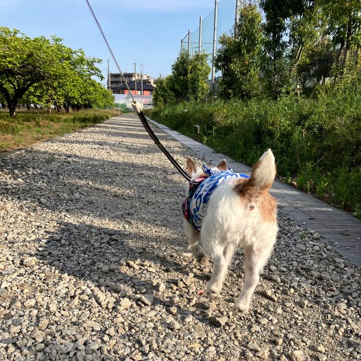 9a206cef 0334 43ba 9da3 b402933054d1 1745797044901