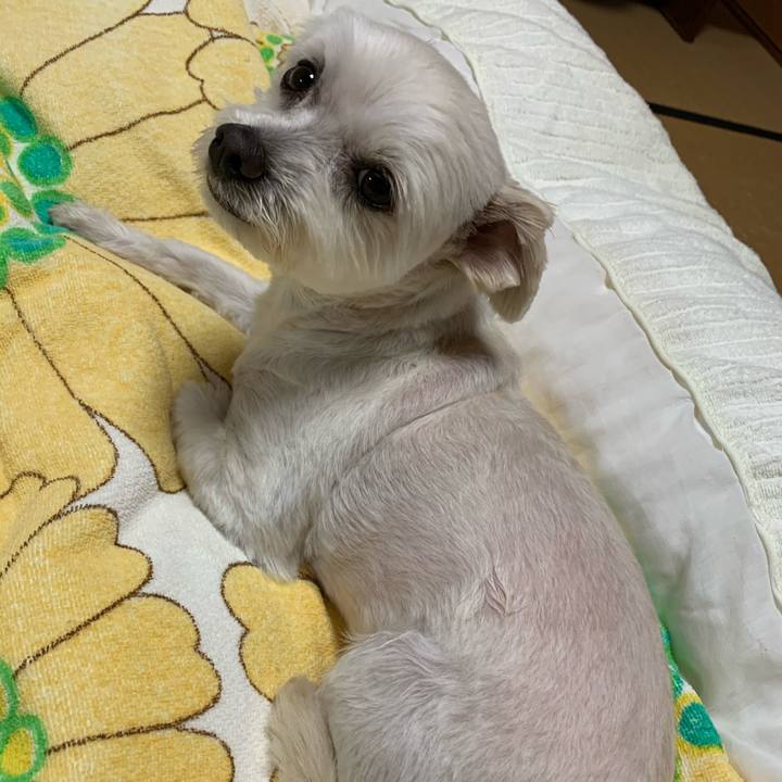 9a20bb17 be7e 4e45 8d48 1596a81db03b 1590576329525