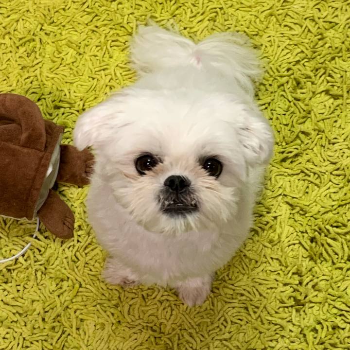 9a20be3d f95b 4dc3 8375 7c80a36cdf88 1664283719468