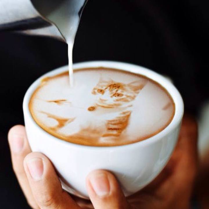 9a21019e 385a 440a b267 a8b49368772f 1640248683129