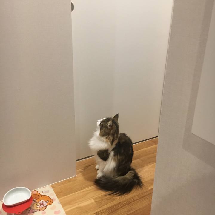 9a210b1a 3200 4c92 9c9d 5b4af45302ff 1546437666350