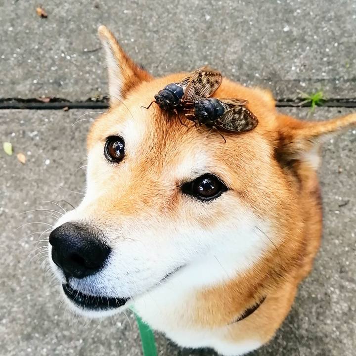 9a21394e 4ed8 4bae 8801 8d2e3d7c7ff5 1629363716726