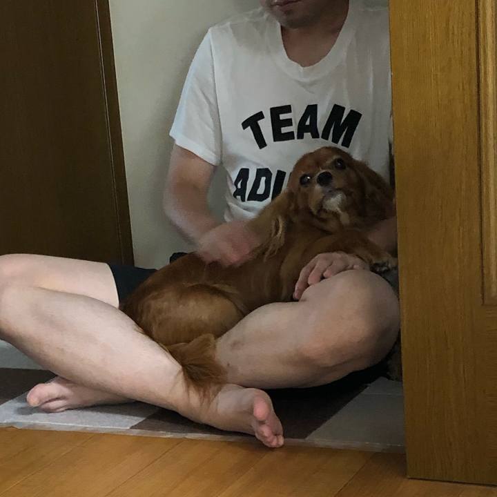 9a215be3 0248 4e5d 9703 13f67949d22c 1599344535050