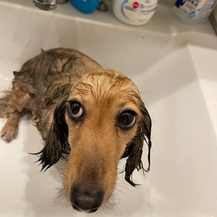 9a215da8 c156 4100 ab71 6ef004a16bdb 1751373359063