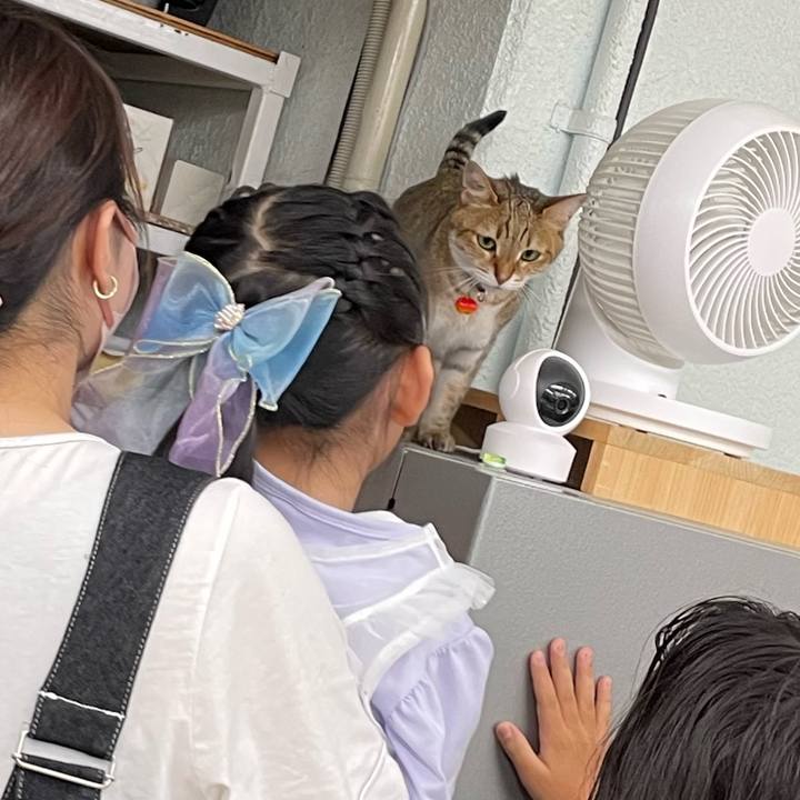 9a21665f fe07 40a3 ac85 33134da771d5 1721979686662