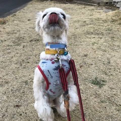 9a2181e0 730b 445e aed4 b6f4495ddd06 1520856300553