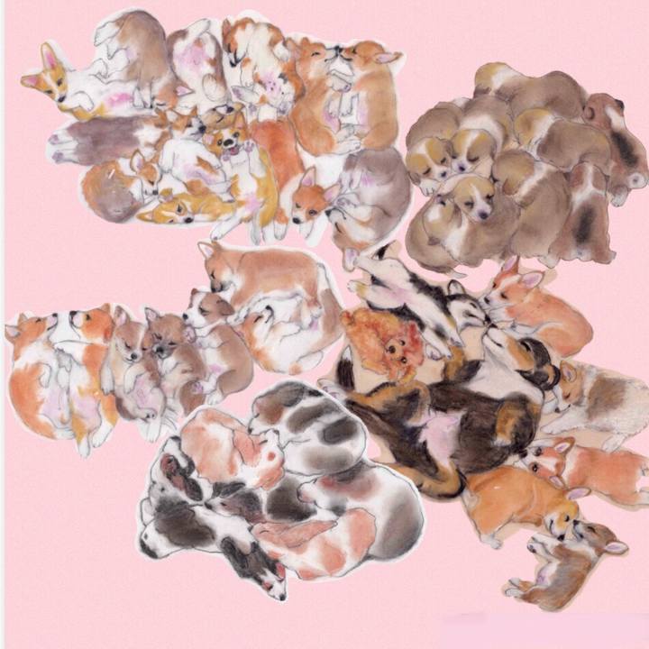 9a2194c4 6b51 45b8 b07f 76c9d4f2f0c4 1615825649620