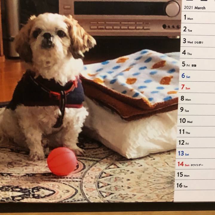 9a21c93b 4f8a 4cb3 91bc 0e8414de8c68 1614895266166