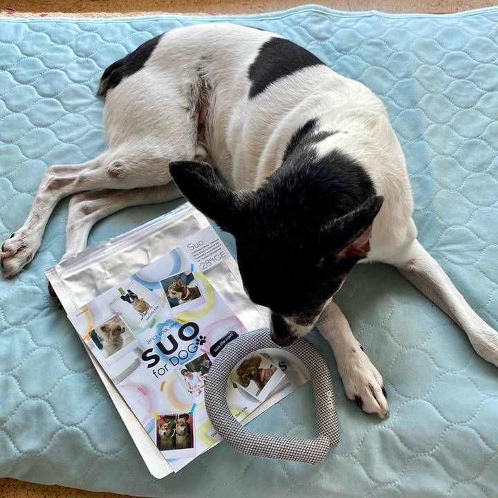 9a21f29f 946d 46cc 8acb ba7ddc0c830d 1628409260713