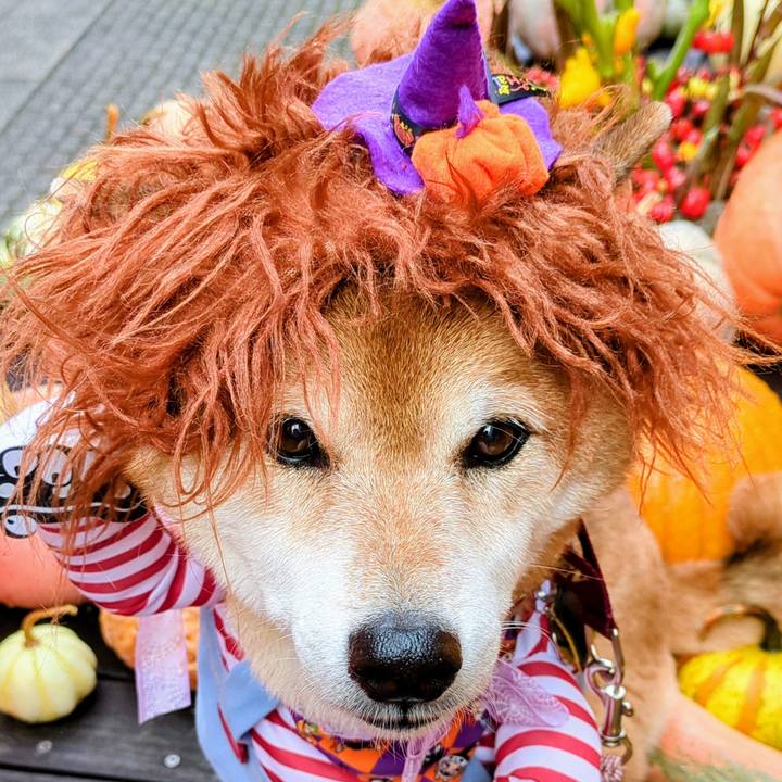 9a2246ee 9131 4c70 963d 37cf86e525f3 1759720440810