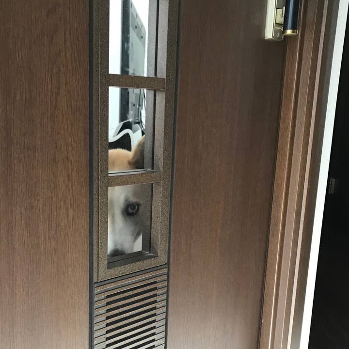 9a22609c c11e 44e3 8410 1feabf857700 1547082102949