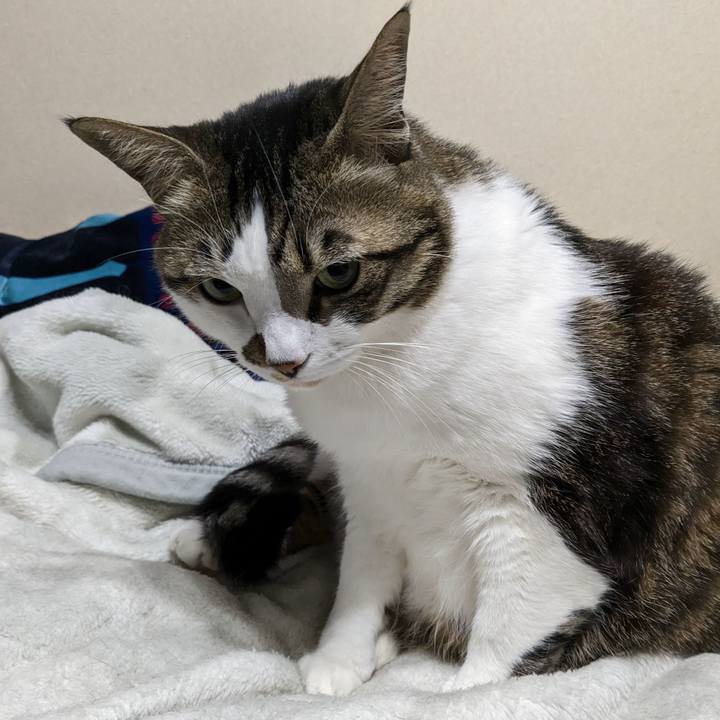 9a226efb fbe1 488b b33d 3f6e574efa7e 1677851343407