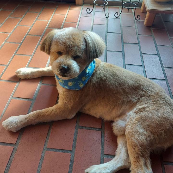 9a22859c bc6f 4747 ab61 9863b2109b8a 1653345356519