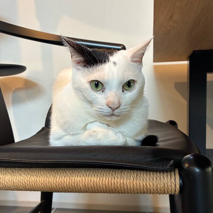 9a22aed1 3d9f 45fc 9d14 d5e9d81a5f4c 1770973397607