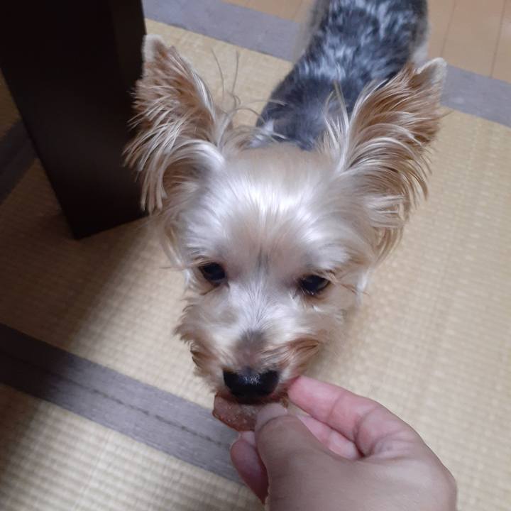 9a22c6bf 2f49 4d26 b558 08ba862cd5af 1597577000196