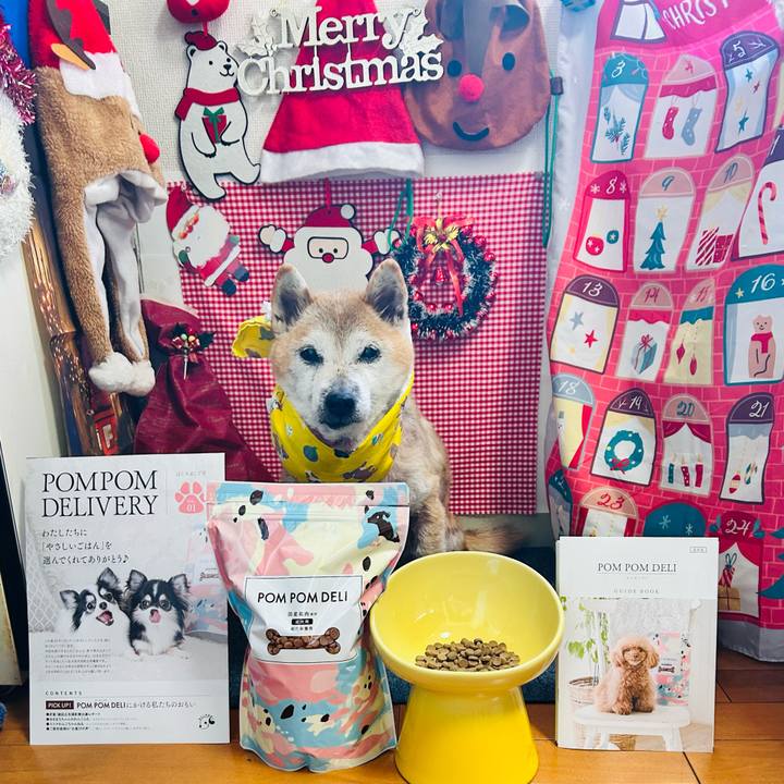 9a22dab4 72e8 4092 9ab7 7b2677df5008 1765860681429