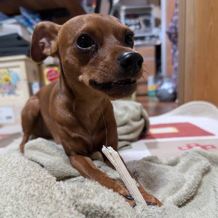 9a231c93 9d1a 49fd a4a8 af8f1bbb38b1 1723943887963