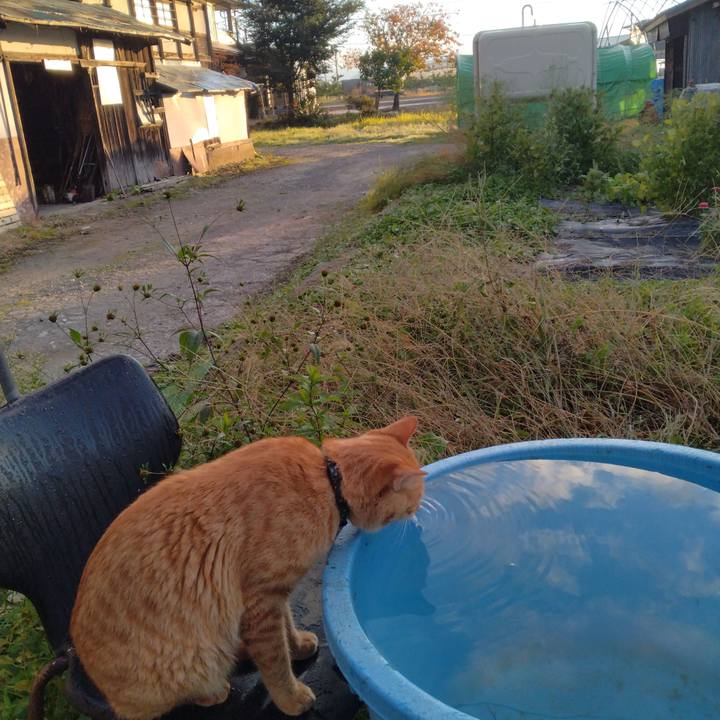 9a2349ce 26c6 456a b9a7 32adbcee5182 1666219434164