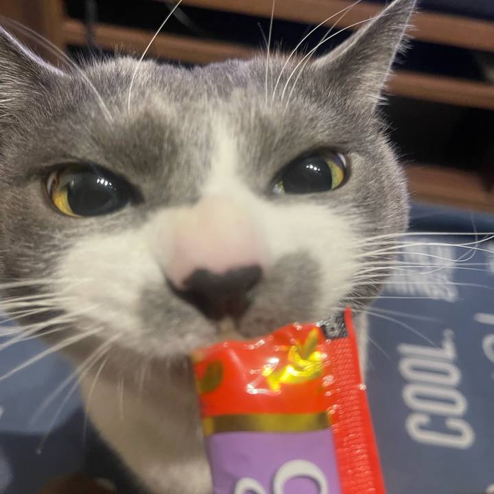 9a236c3f d4f9 4472 8b91 066356edae6b 1707119371014