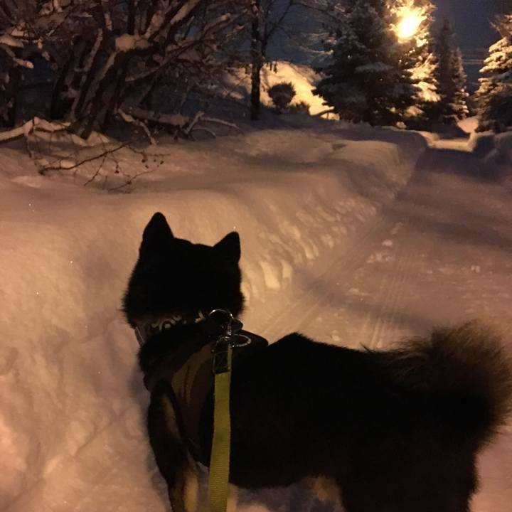 9a238756 960b 4921 9549 fb3dcf264fb8 1515796422211