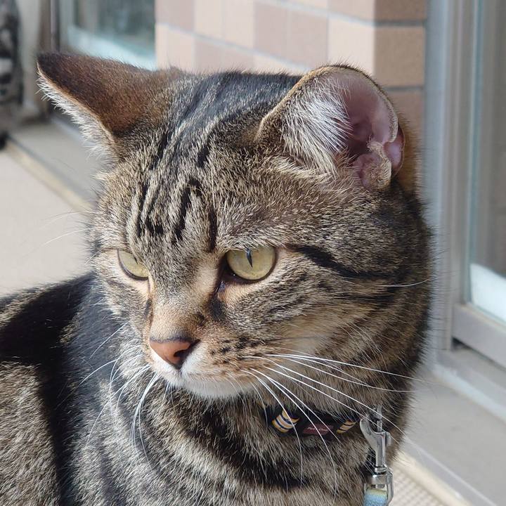 9a238f4a 2764 4bef ba11 6a0761e2758c 1651021430111