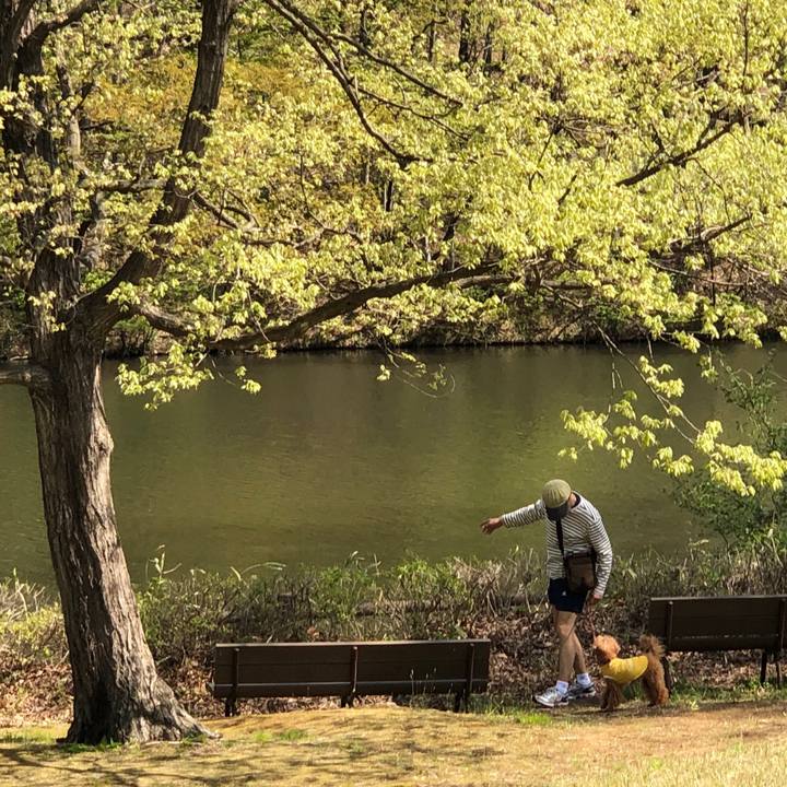 9a2394ed 5093 49cf bddc 39b3f772b320 1557246571679