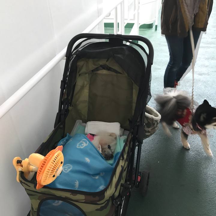 9a23fc53 c0c5 4de5 b5f6 bcb609c80687 1542539193987