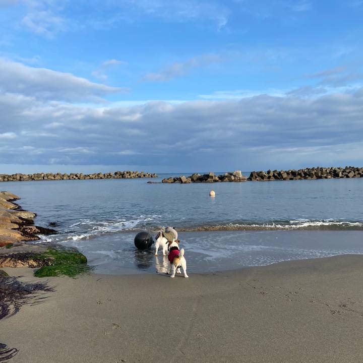 9a2434bc 327f 4c6c b9b2 aeb7b992dcb9 1642898923981