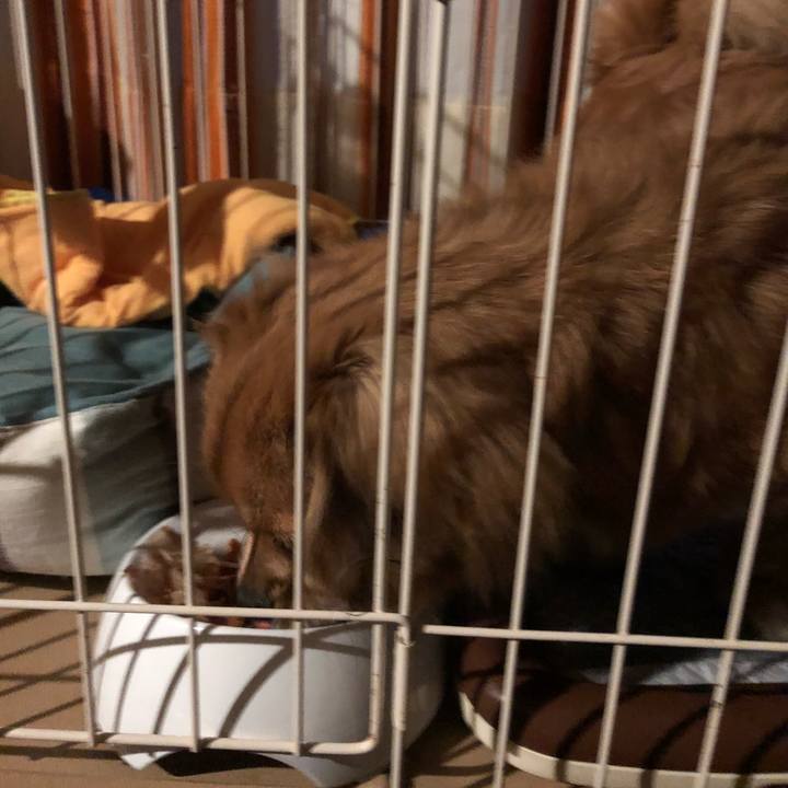 9a24696d 3e62 4995 a086 94d633ab591c 1510181549610