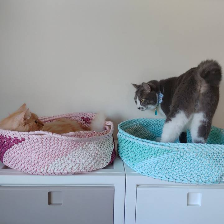 9a24719b f642 4bf5 8016 8e50143c5184 1723693230831