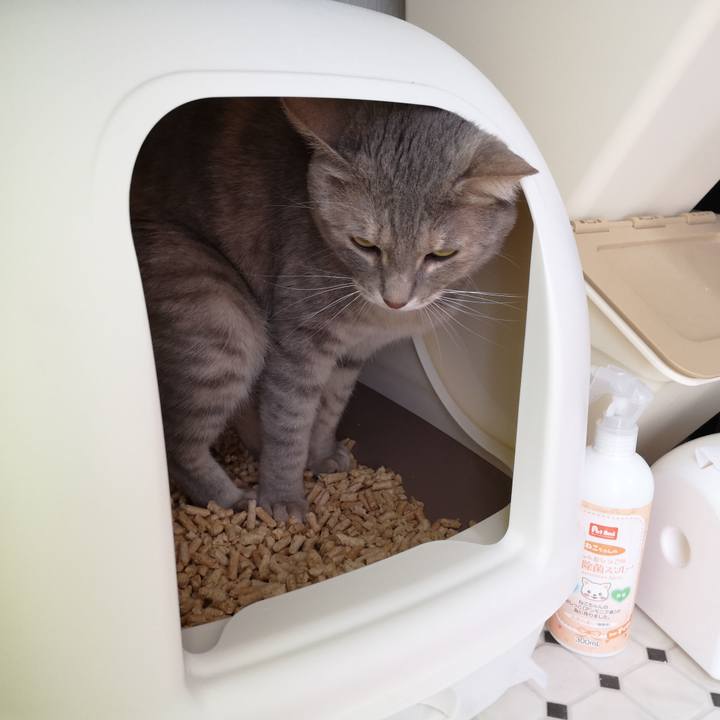 9a249e16 3658 4a89 b17d 5aa1164fd944 1560038089941