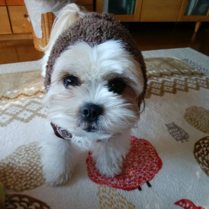 9a24c25b 61fa 44b9 8899 ca9dd48a84e5 1511750977333