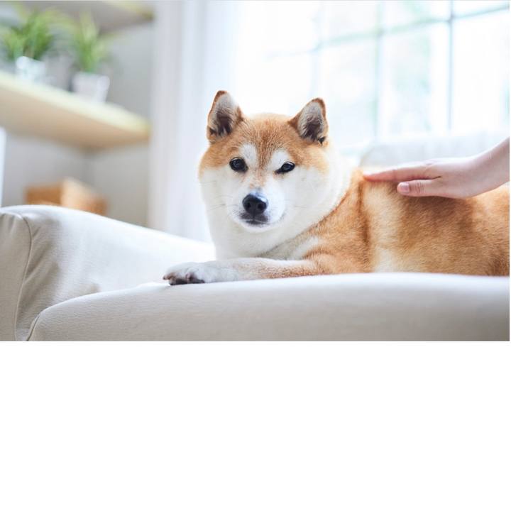 9a24e23c a1ab 4936 beb6 92fc0abde5ae 1688346306102