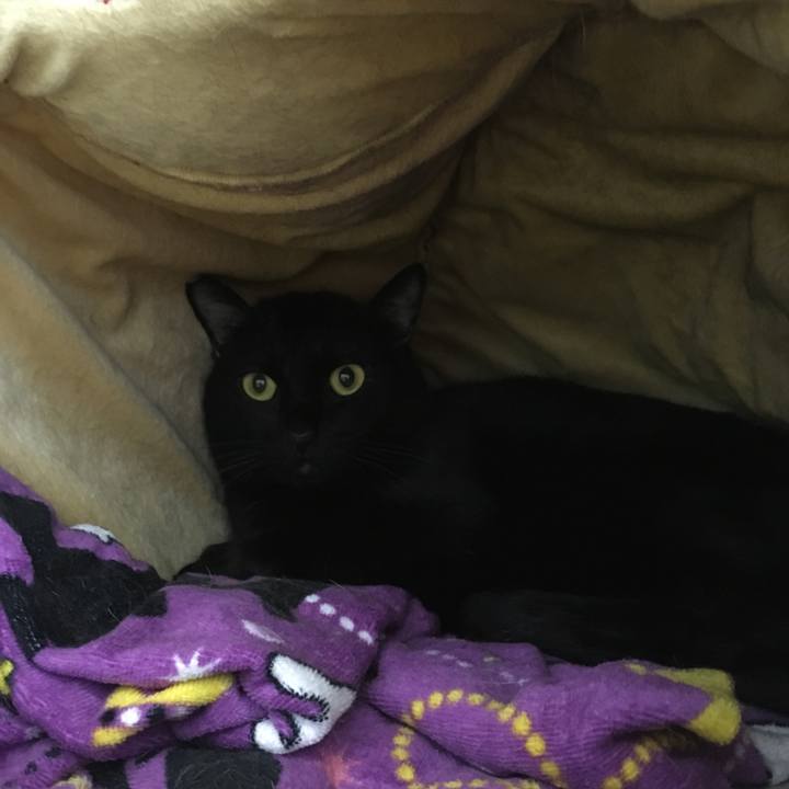 9a25052a 987f 4dc8 ab11 03a3627dc2ff 1531463488432