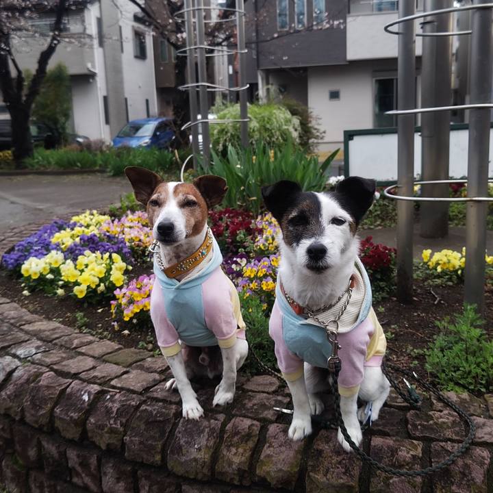 9a25c17d 5fe1 495e 87d5 b82c5370f259 1774648557130