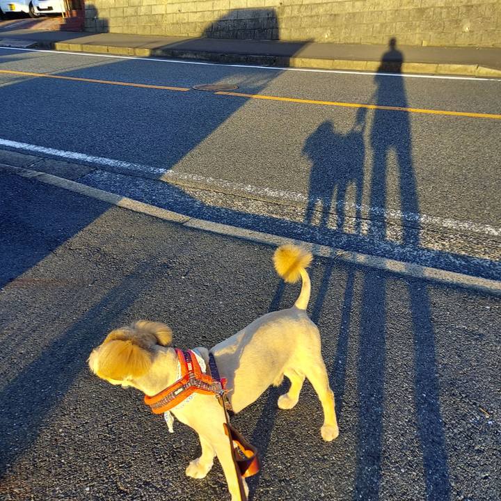 9a25c9b6 d285 49c4 8333 e8e6c086f2db 1659996943402