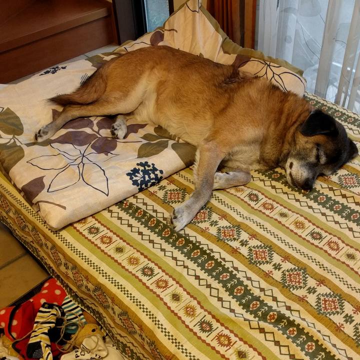 9a25fbb7 05c5 4f3d bb6d 4e4c727cdaf1 1541739330173