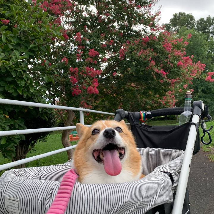 9a261b5e 9e79 436f a987 a71bc42e090b 1724631967032