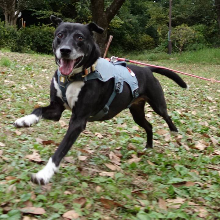 9a2627d2 1660 493d 9f52 1d9dbfa21cfc 1731205945198