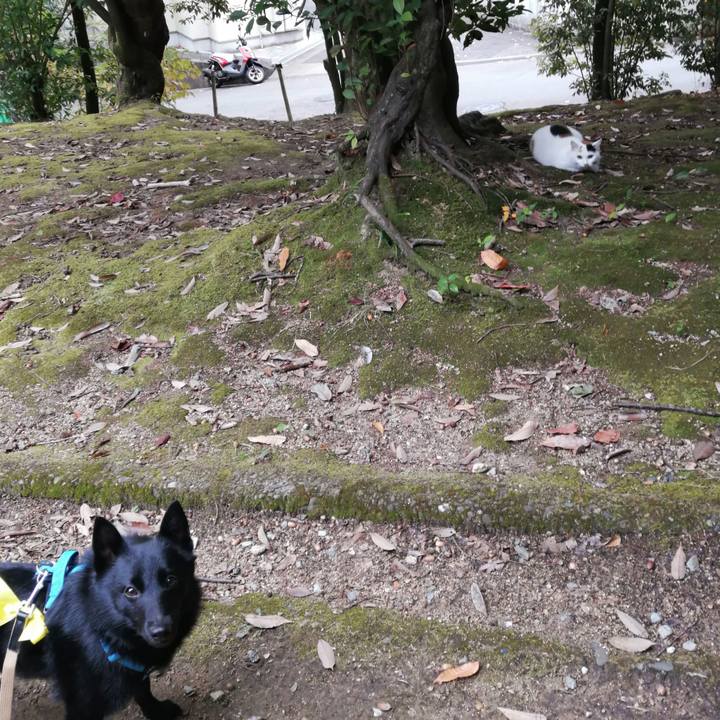 9a264048 469d 452d 977f b0dbf7ab7f24 1637187311946