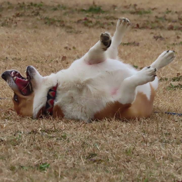 9a267058 0478 4447 9d4c 0df2d3e34eed 1671675607440