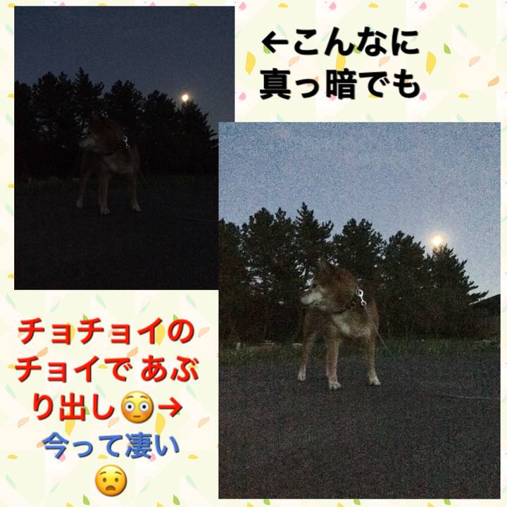 9a26ac86 7aff 431a 82c2 daf8f2c04303 1573376318274