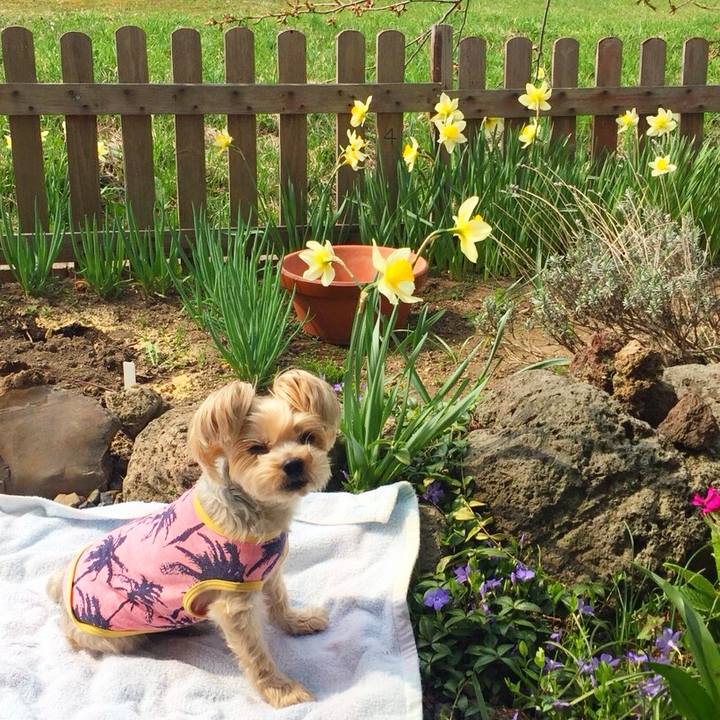 9a26cadb 9ec4 4691 9735 1a3a539f8c53 1525251987995