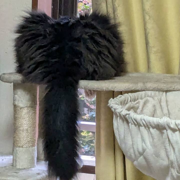 9a26d0de 33b7 4a78 a210 ac4859c4f107 1729893815972