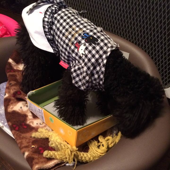 9a26e6f1 3dbb 4df4 9131 470dff52e1a9 1522407073518