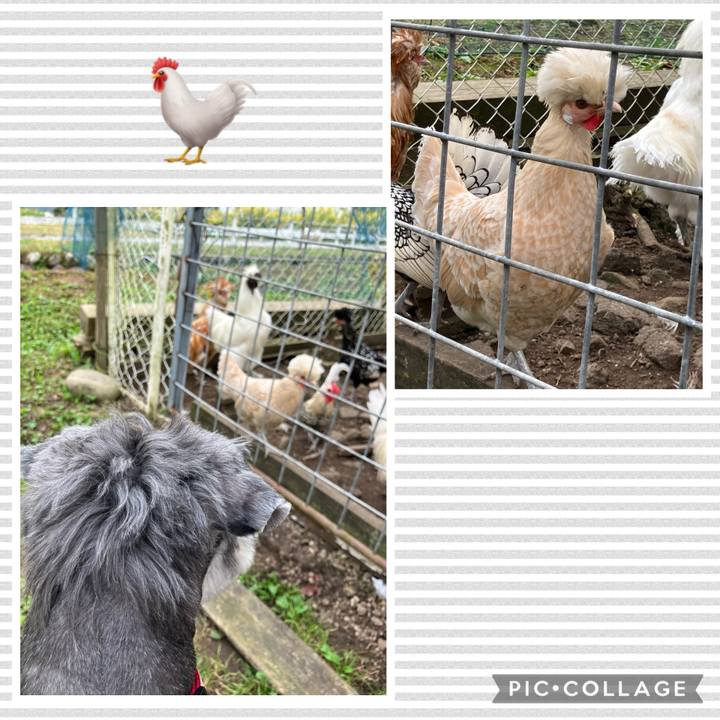 9a27039e f797 4764 bcdd 180c141fd5c7 1729305746746