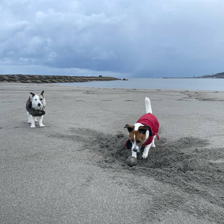 9a270a95 0ead 4e33 b636 30a4f0e176a7 1773190554112